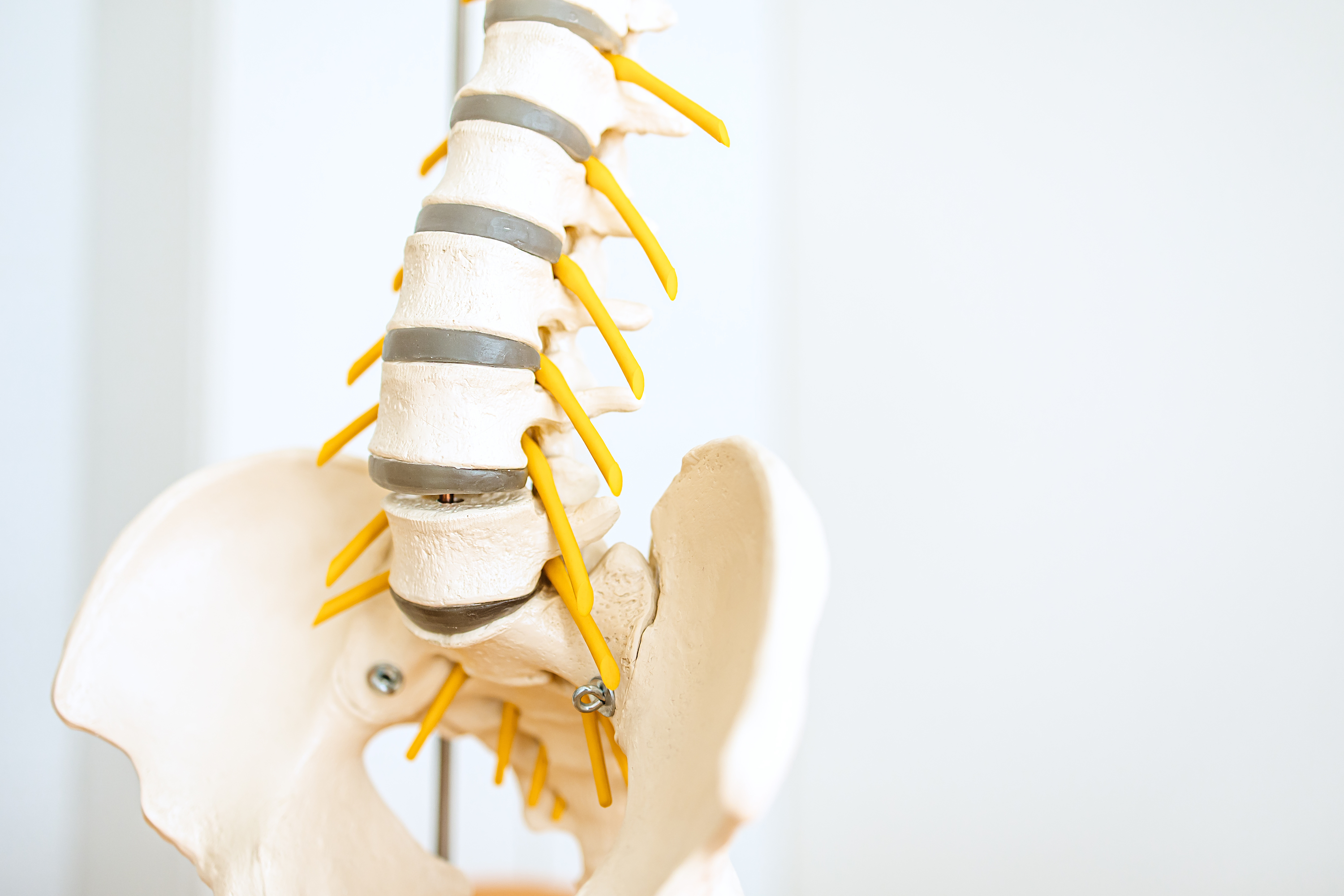 Therapievielfalt in der Psychosomatik