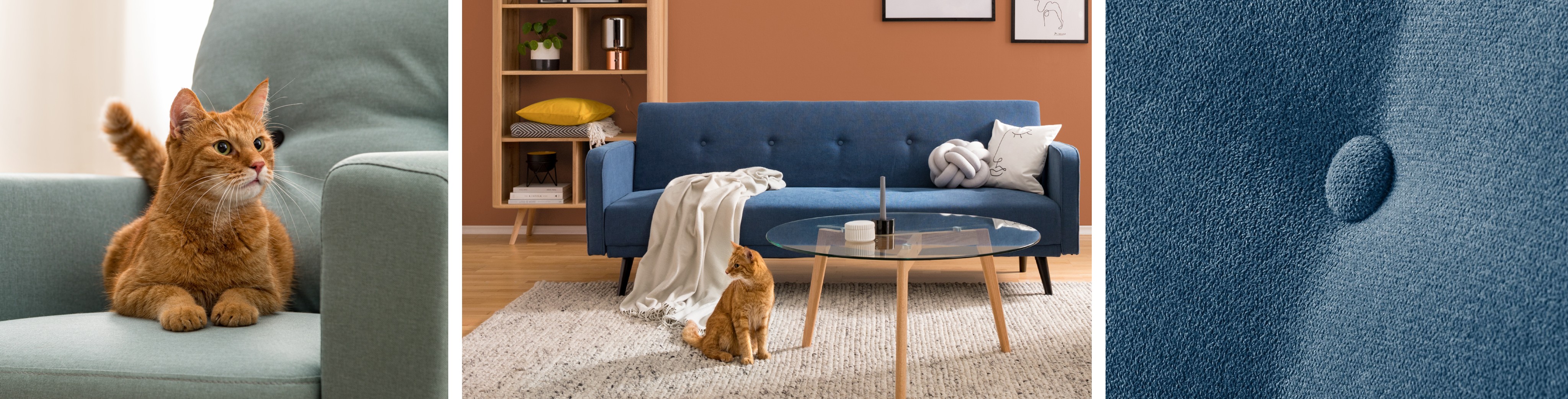 Katze auf Stoffsofa und Katze vor blauem Sofa aus Microfaser