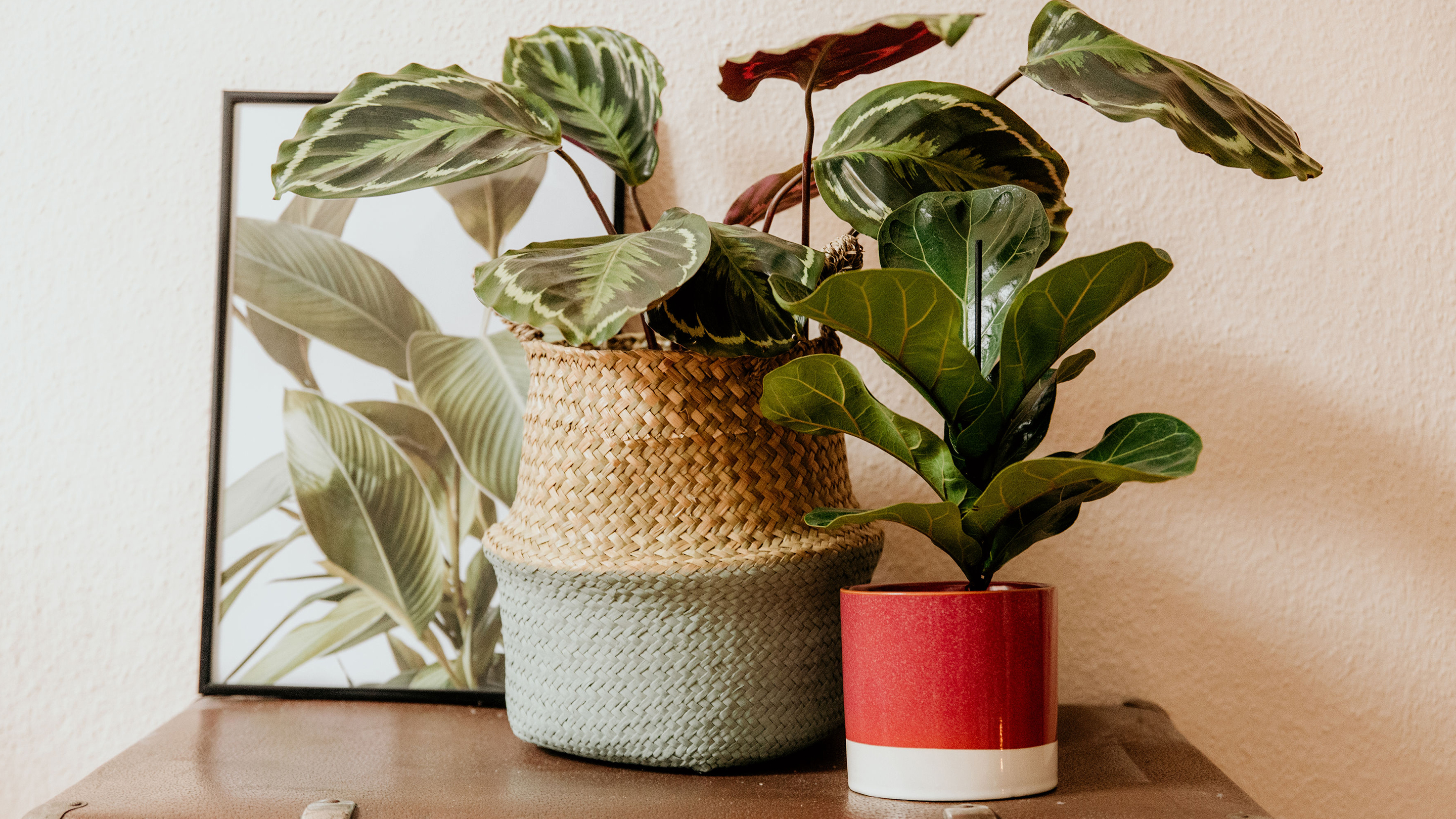 Grünpflanzen machen das Zuhause lebendig (Marke der Vasen und Deko-Objekte: Butlers).