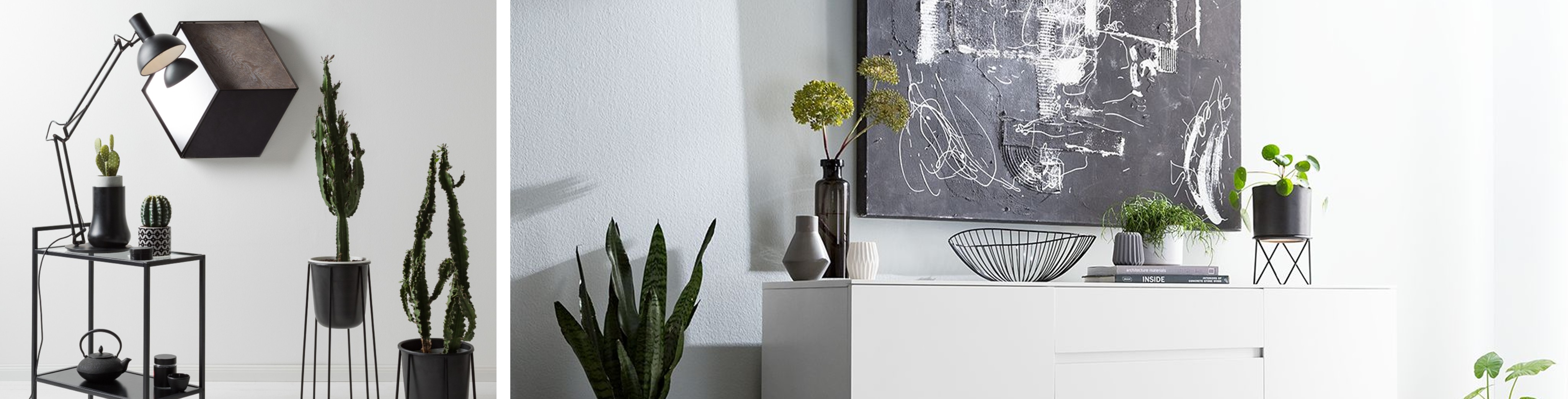 Zelfbewust inrichten met een duidelijk plan voor ogen. Duistere meubels, bloempotten met cactussen en rare planten.