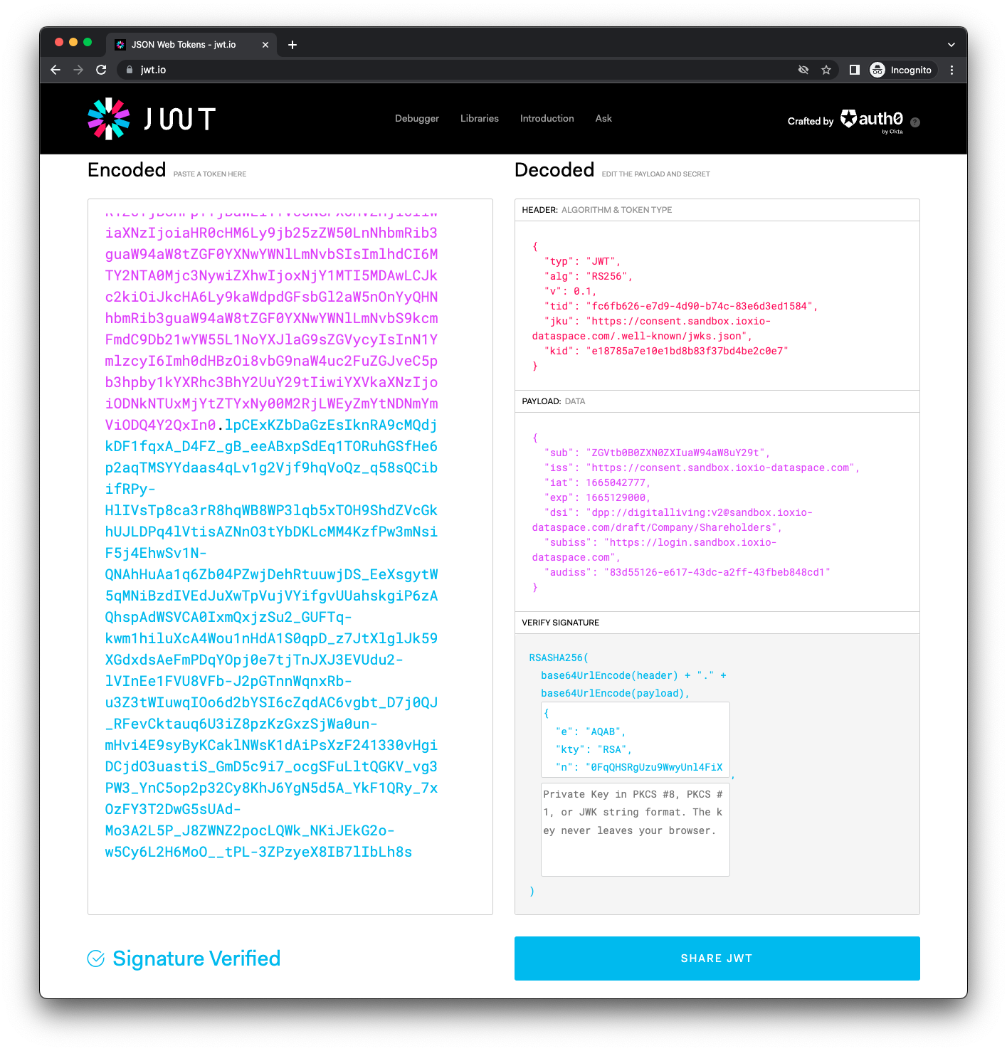 Screenshot of the consent token when viewed at jwt.io