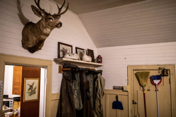 Duck and goose hunting shack with deer mount on wall