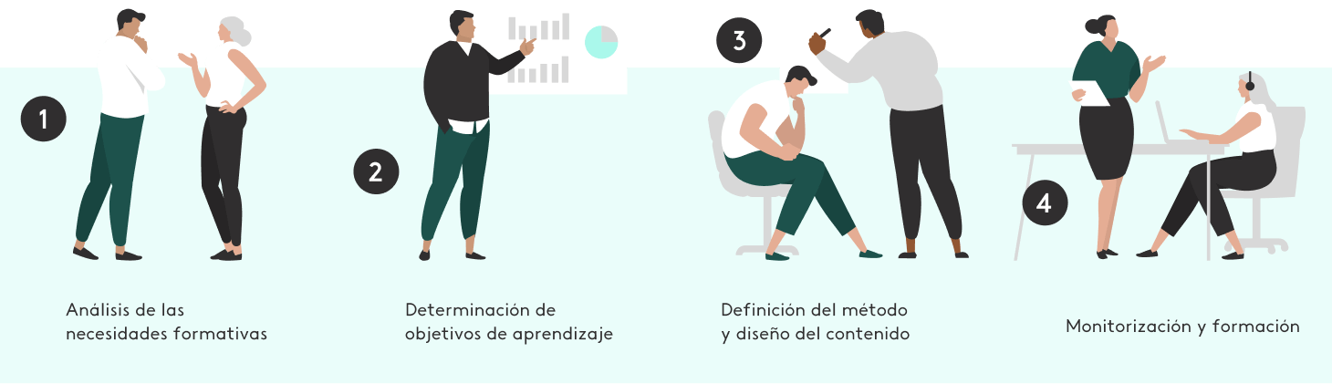 Proceso de formación - etapas