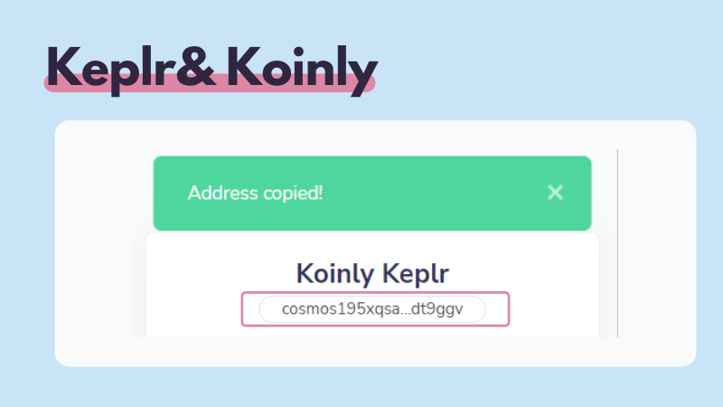 How to Connect Keplr and Koinly