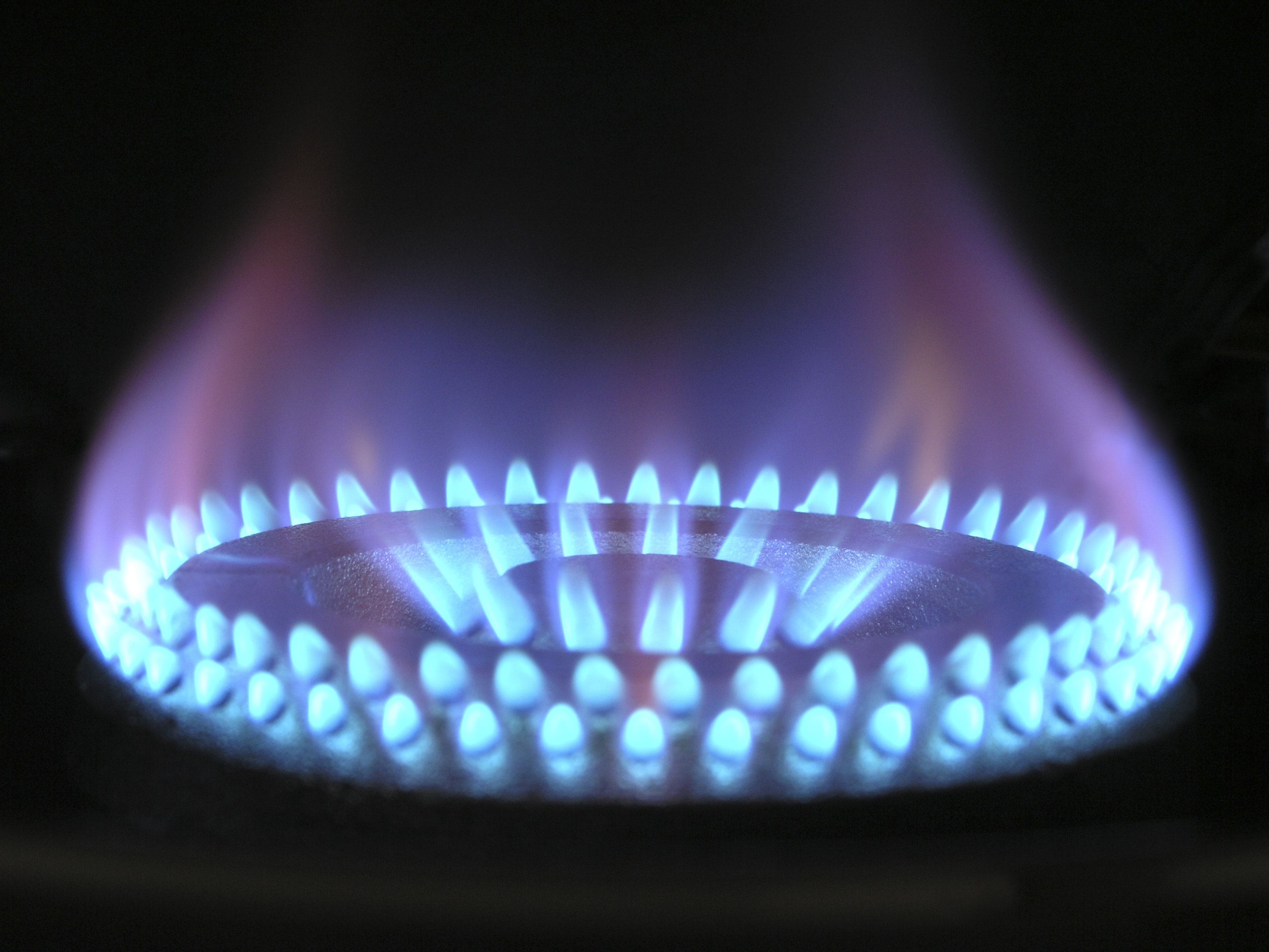 blue gas cooker flame against a black background
