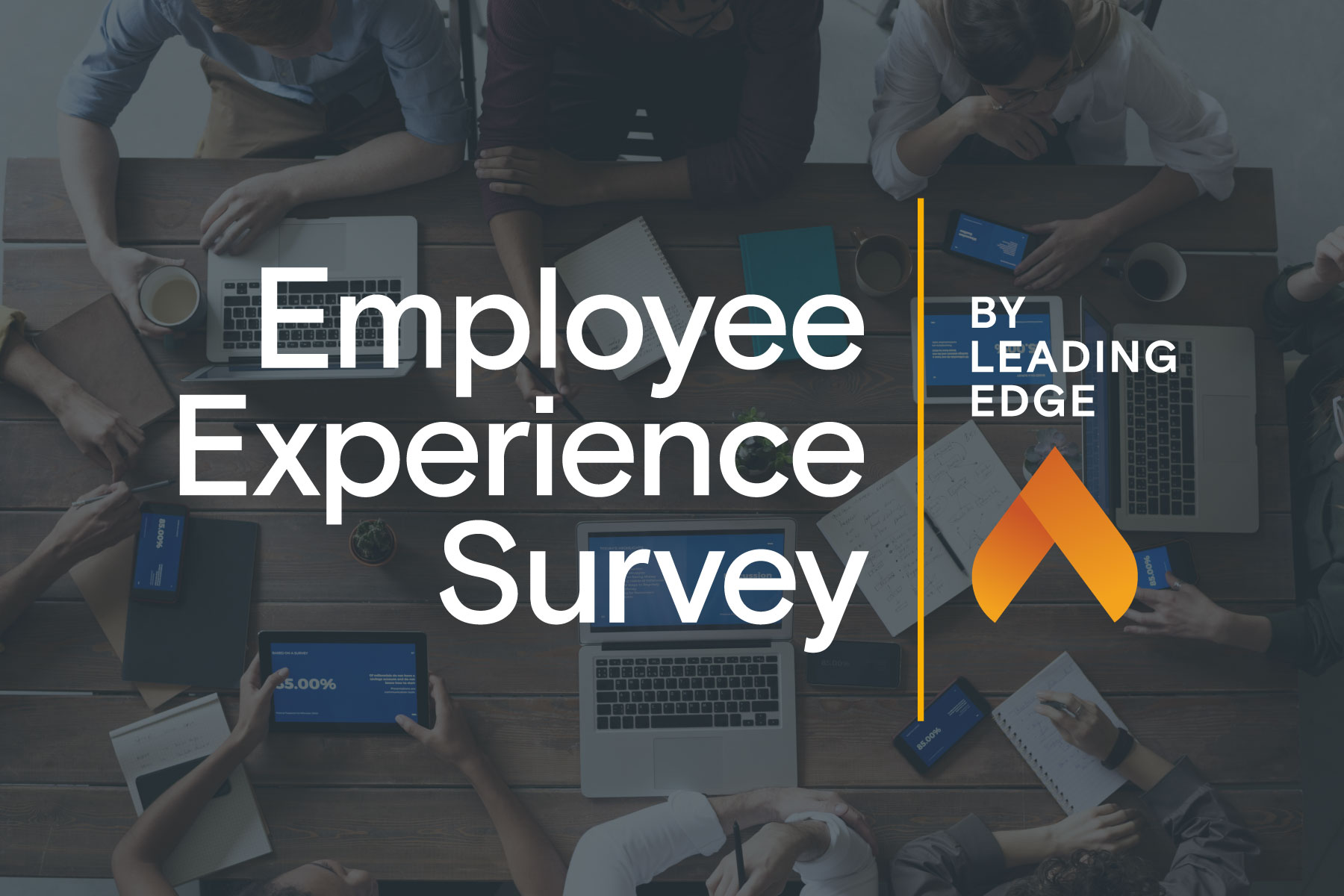Employee Experience Survey