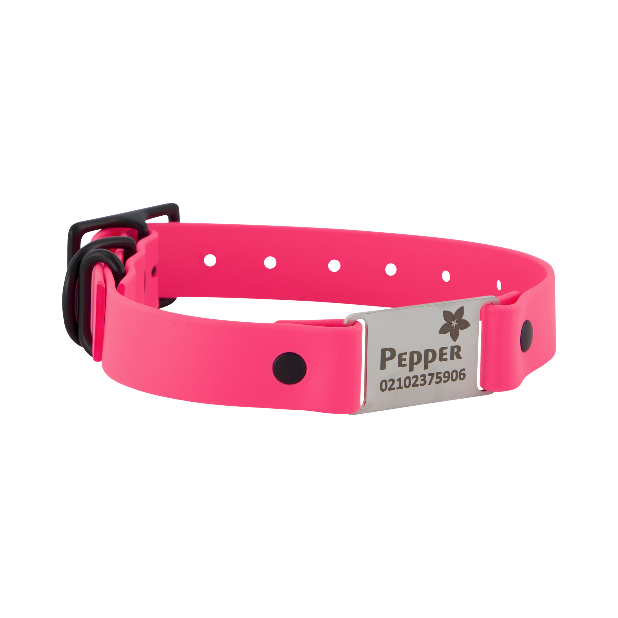 Classic Scrag Tag Collar - Pink