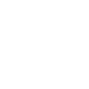 Team-LDLC