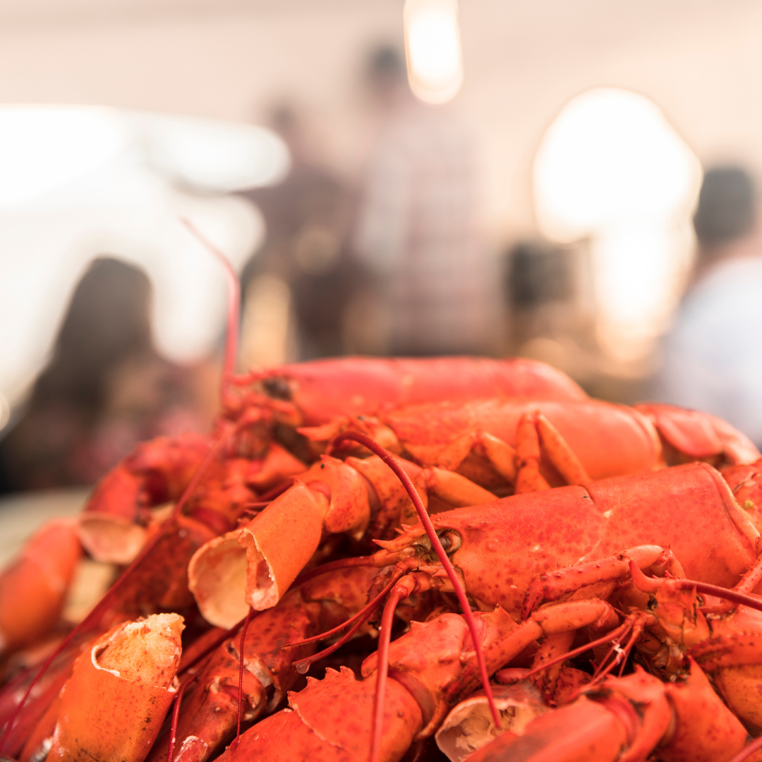 Cheap Flights To Charlottetown, PEI Destinations Lynx Air