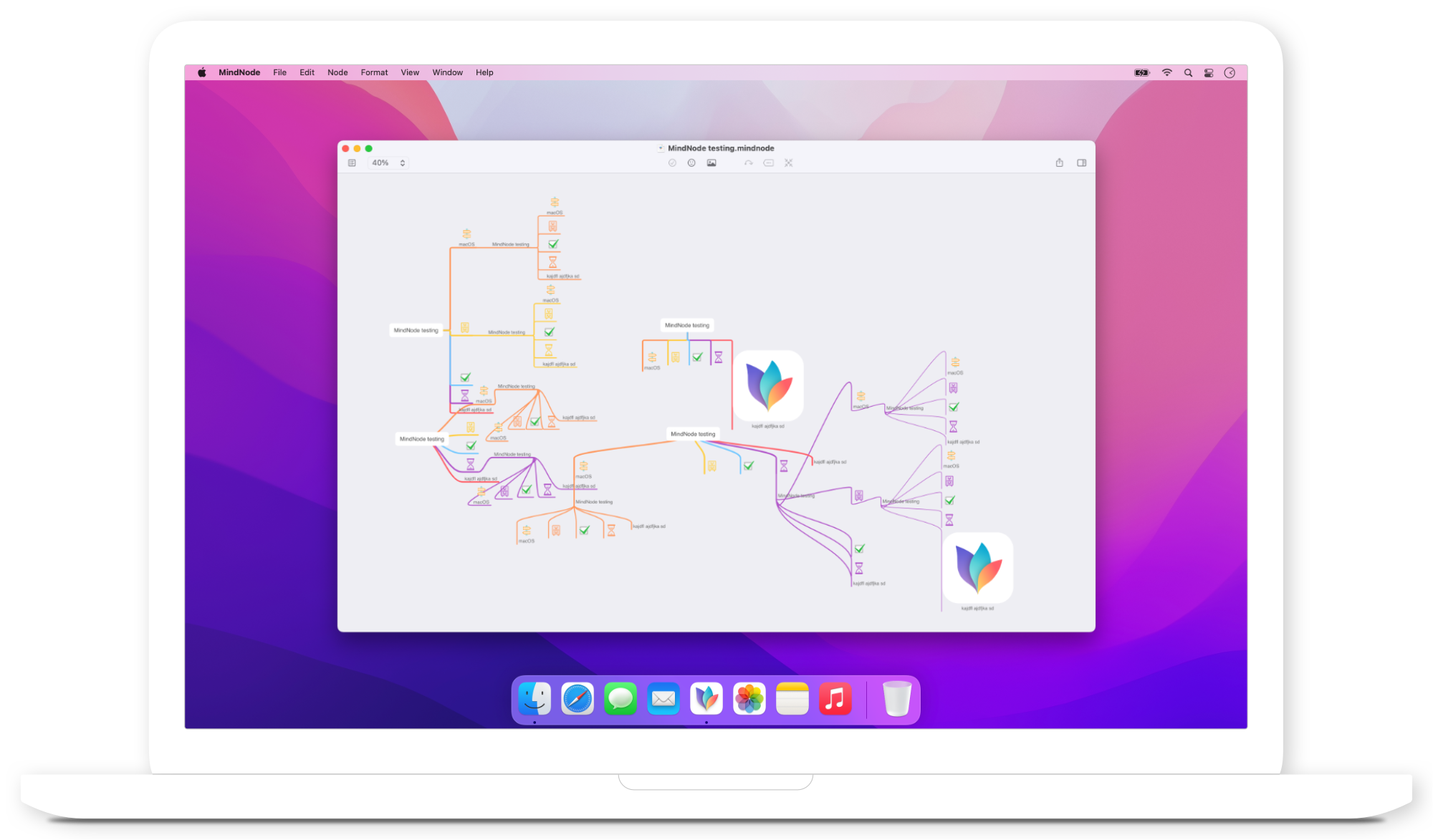 Vanessa's testing document on macOS