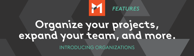 Introducing Organizations