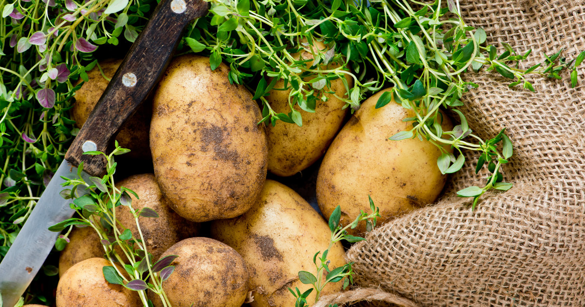 Top 20 potato recipes - Netmums