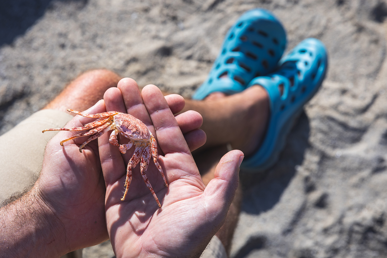 Man holding a crab while wearing the Oboz Whakata Coast sandal.