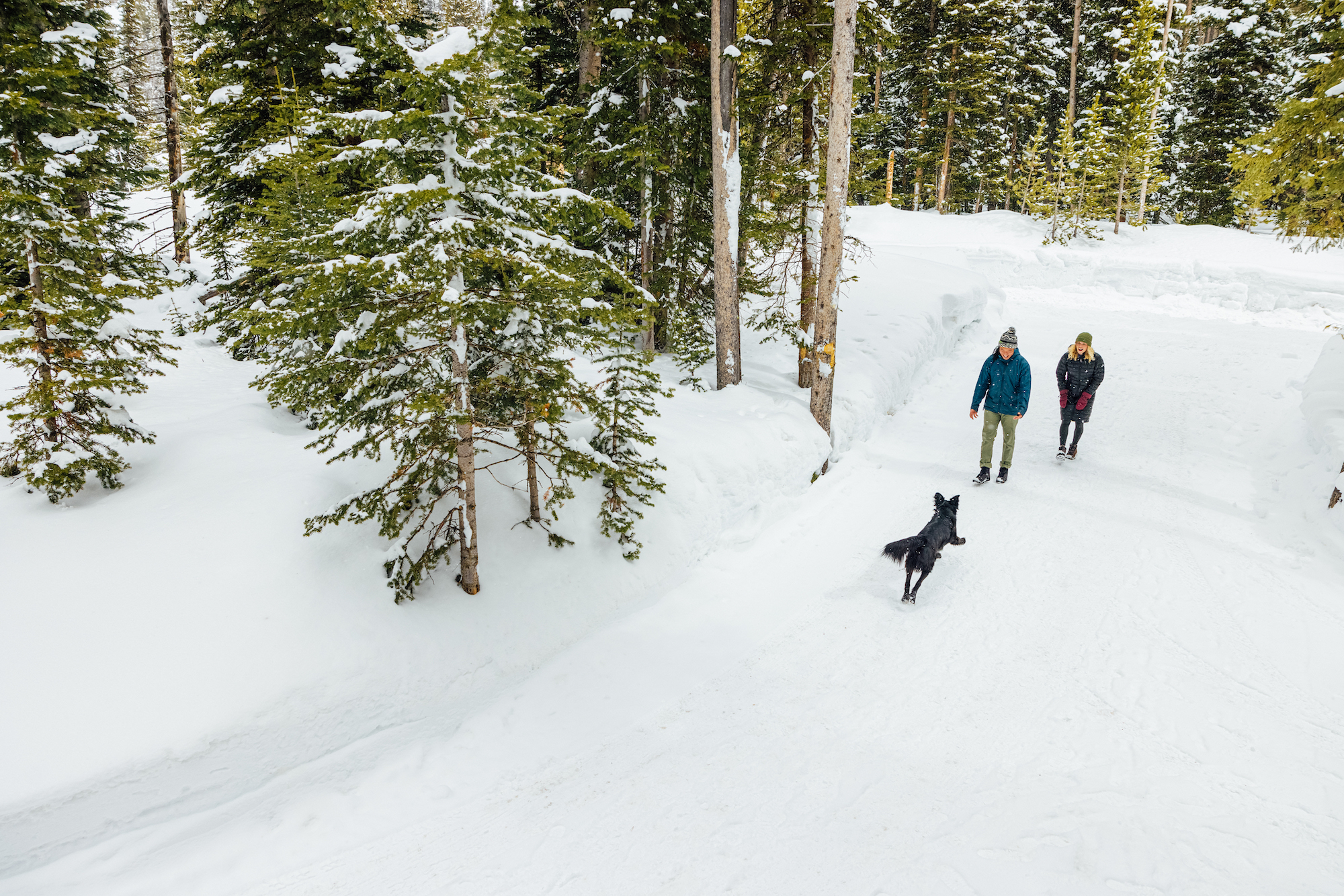 Two people hiking in the winter with a dog while wearing insulated Oboz boots.