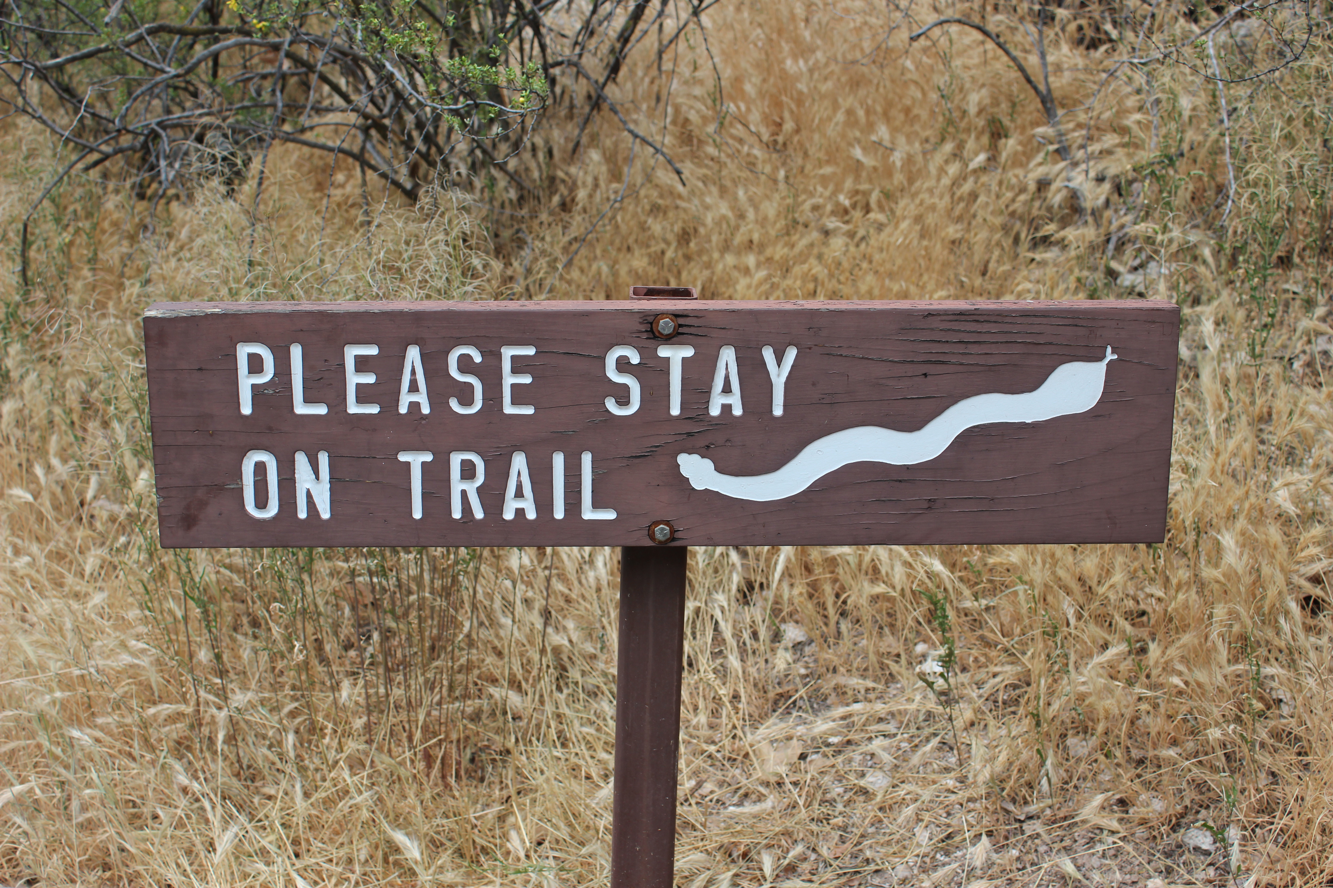 Trail sign warning hikes to "Please Stay on Trail" due to snakes