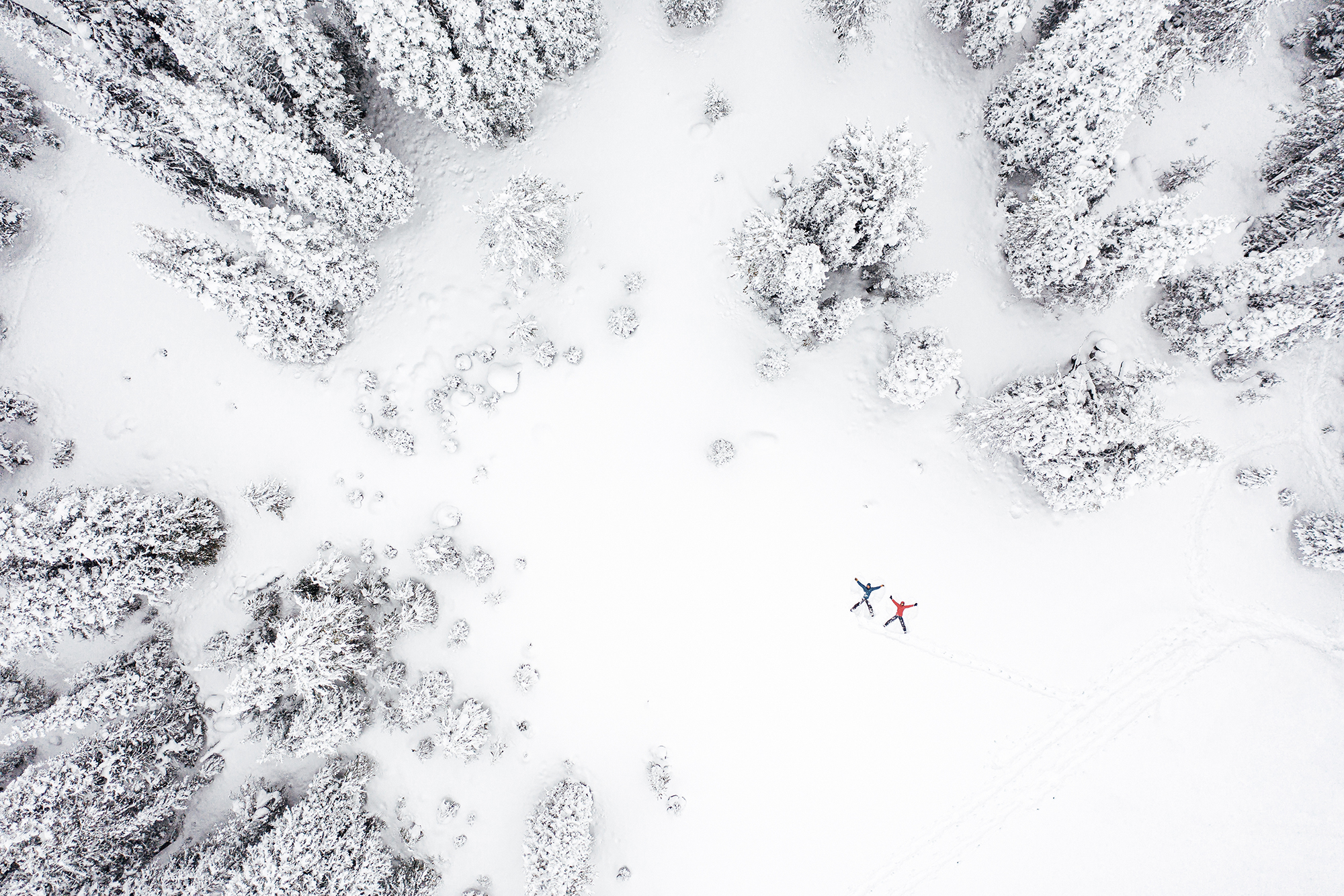 Two people making snow angels in the forest during wintertime
