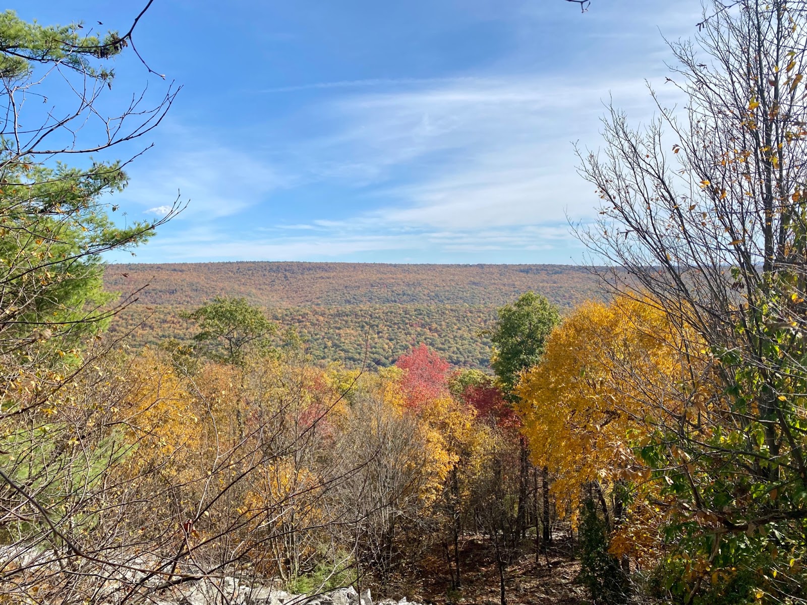 Fall colors in Shingletown Gap, PA
