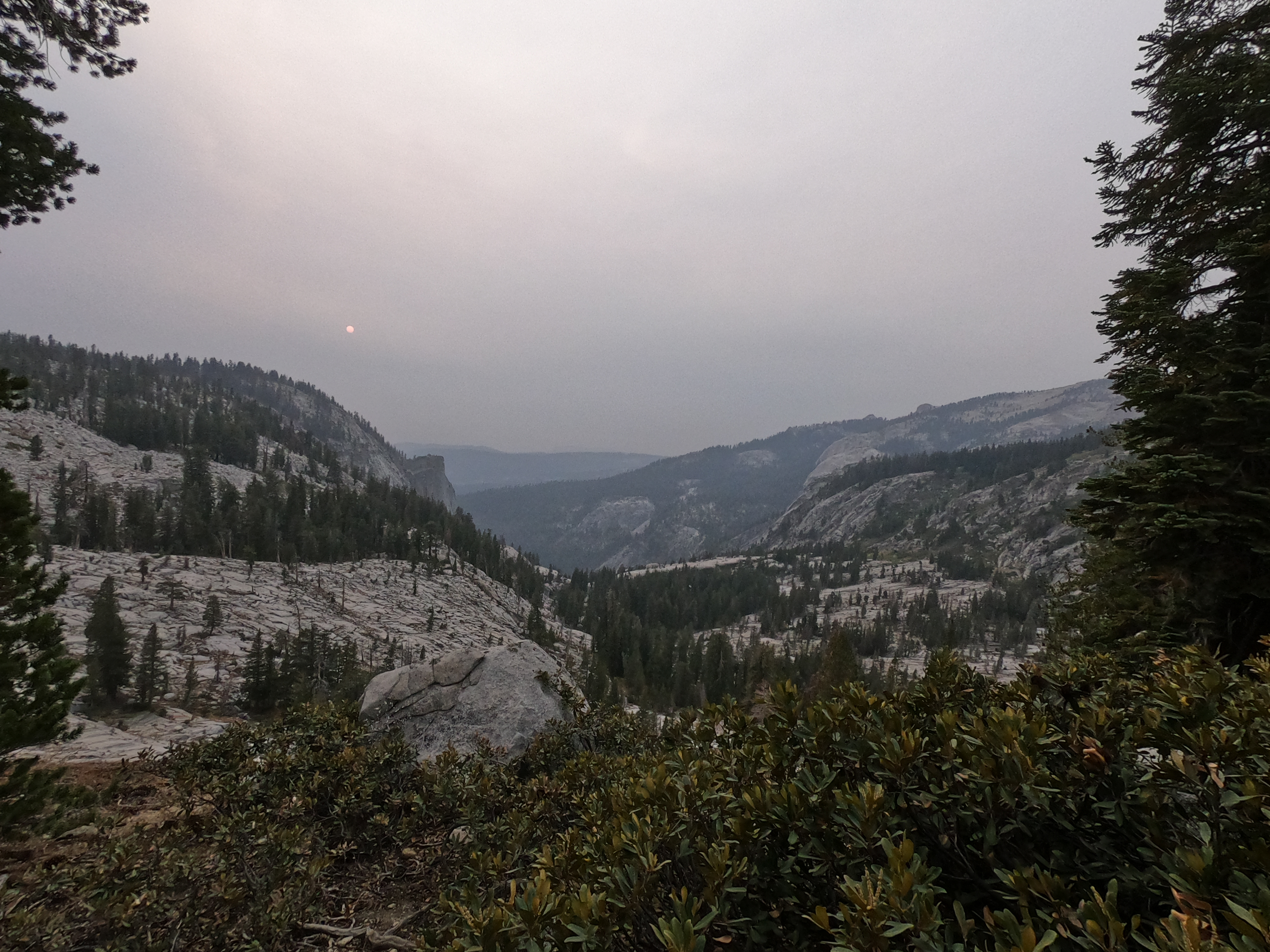 A smoky haze in the Sierra Nevada Mountains, California, USA.