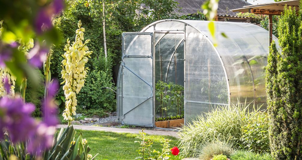 Polytunnel style greenhouse