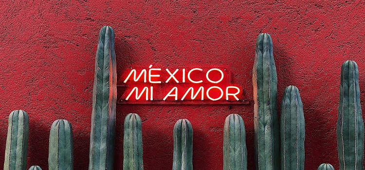 Imagen de fondo mexicano con título rojo y cáctus