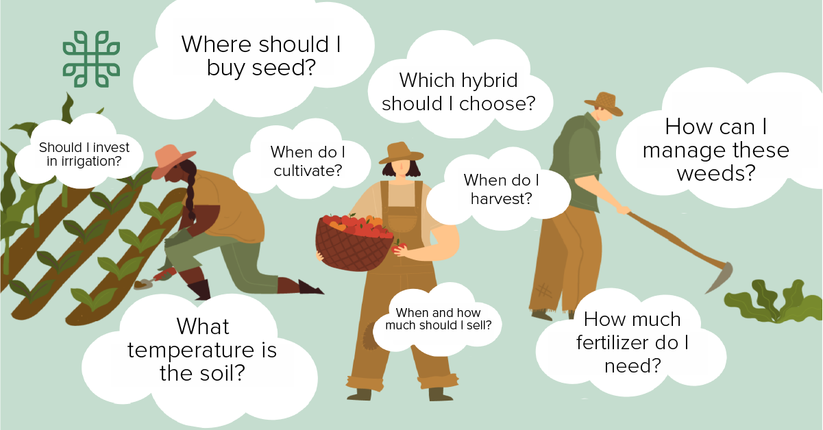 illustration of farmers and questions