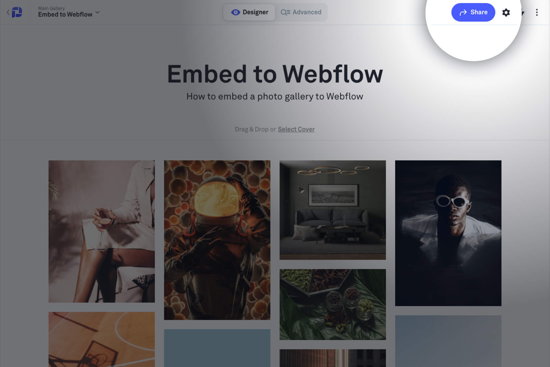 How to Embed a Photo Gallery on Webflow?
