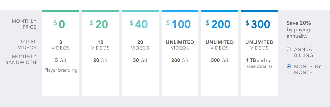 An example of a premium subscription pricing model showing different price points based on usage