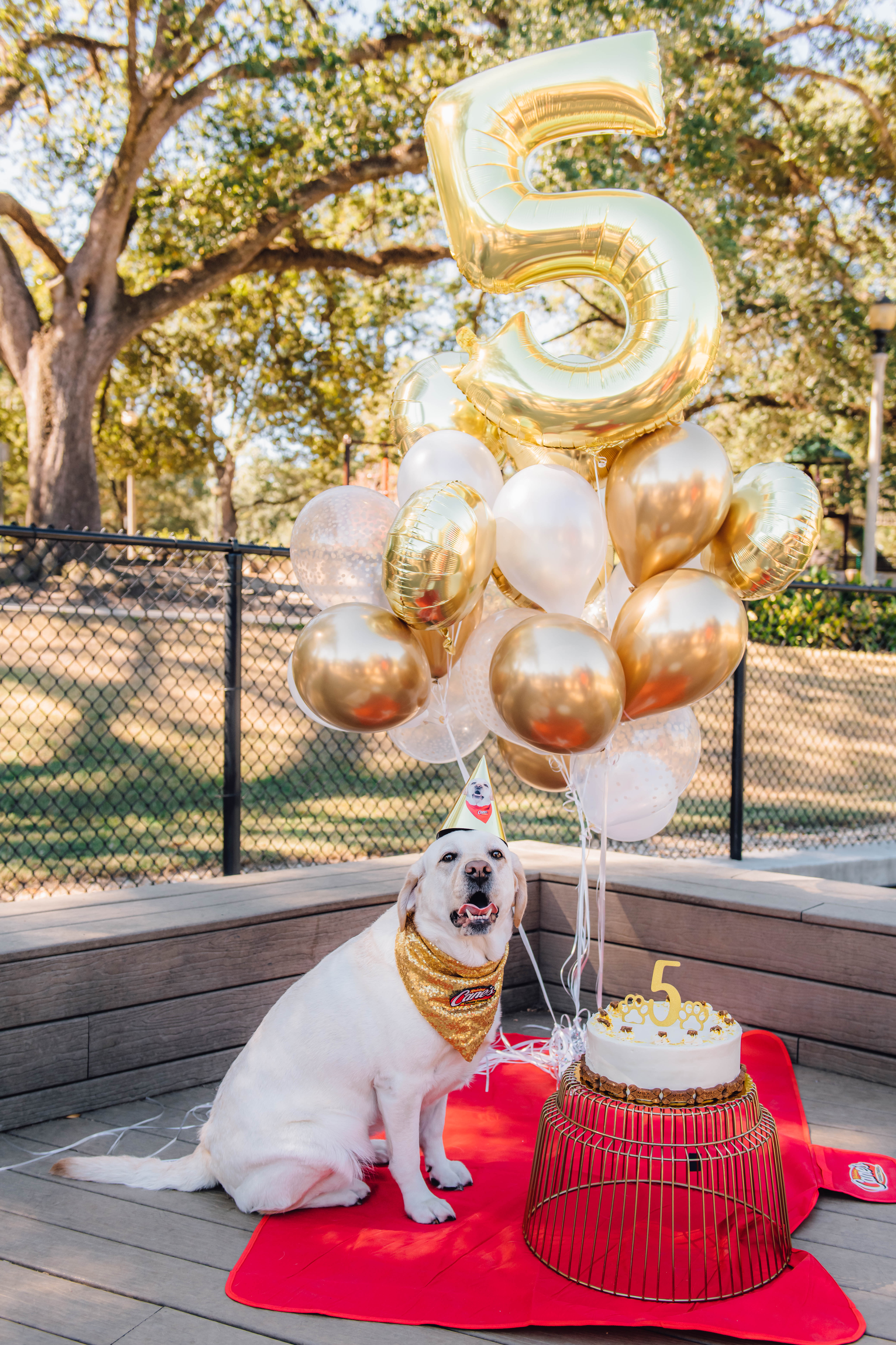 Raising Cane 3 celebrating his 5th Birthday