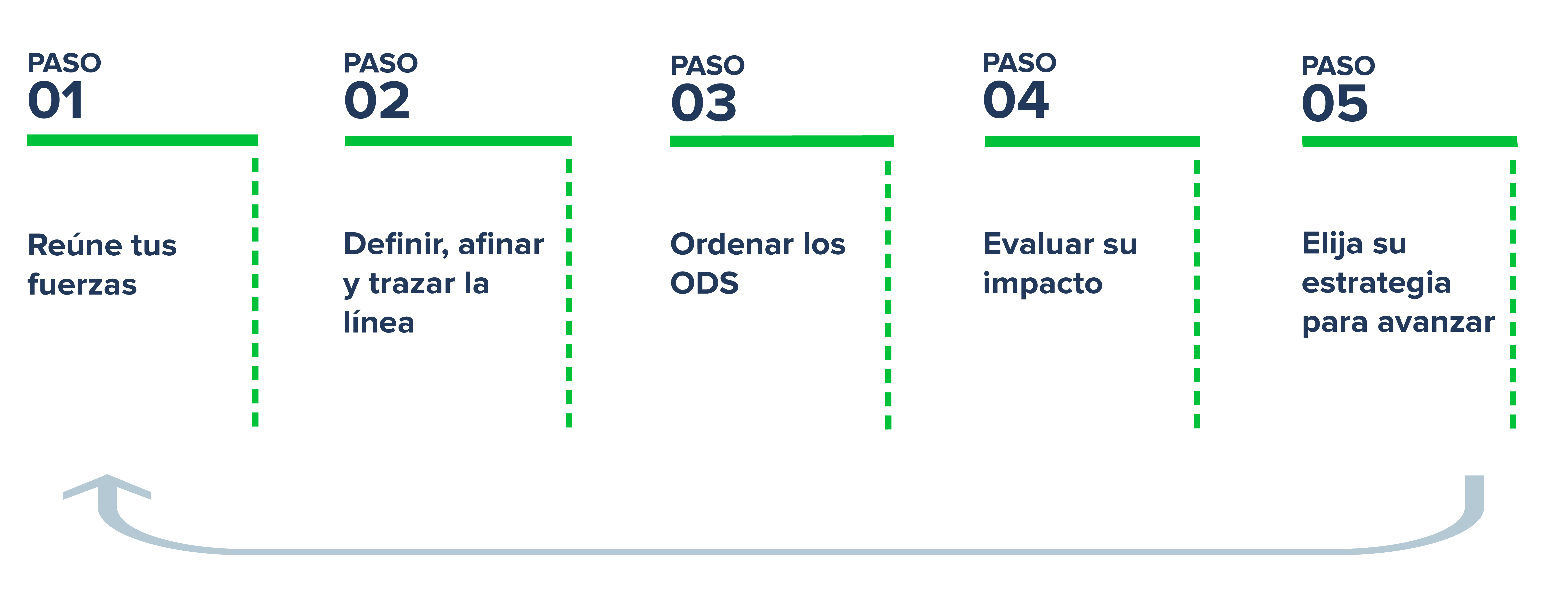Paso 1-5