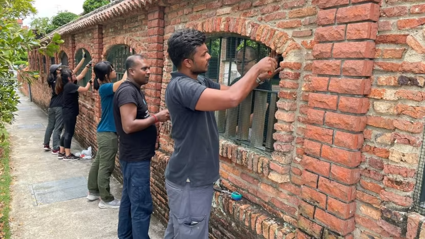 Otter Working Group working with Seletar Hills Estate residents to put up meshing as part of otterproofing their homes. Photo courtesy of Otter Working Group.