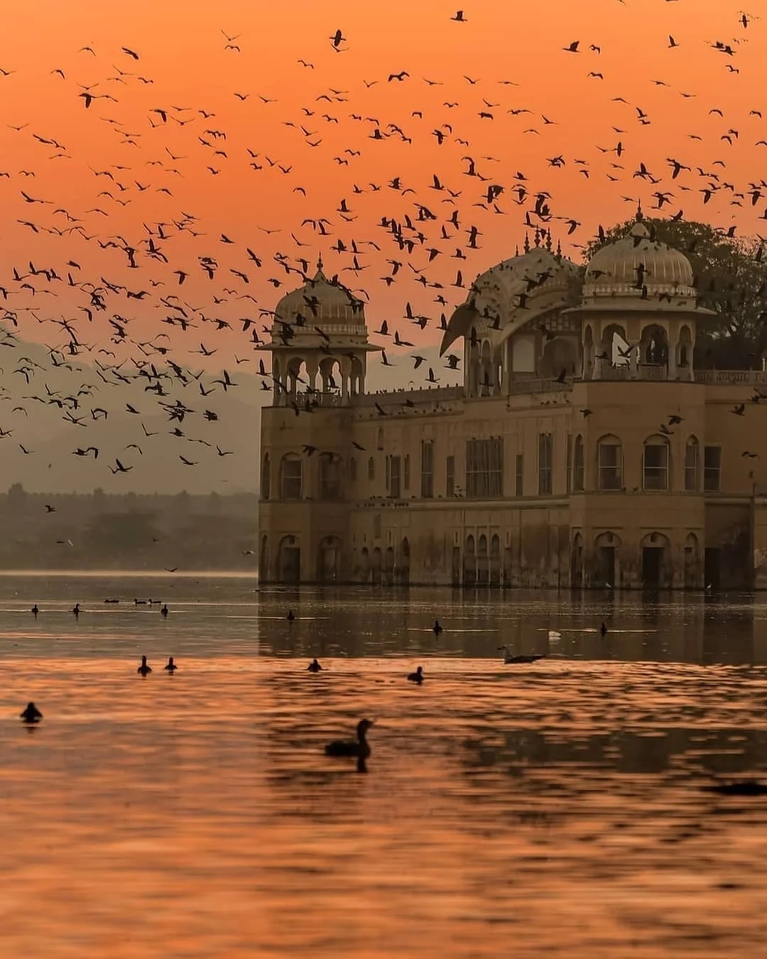 Palace