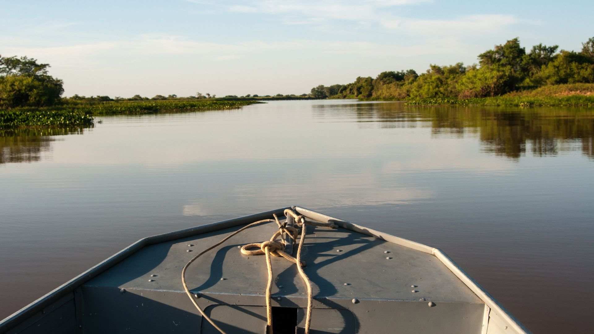 Guia Completo Do Pantanal - Bonitour