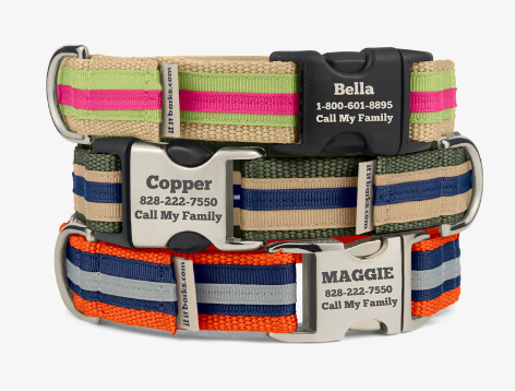 Personalized multi-color dog collars 
