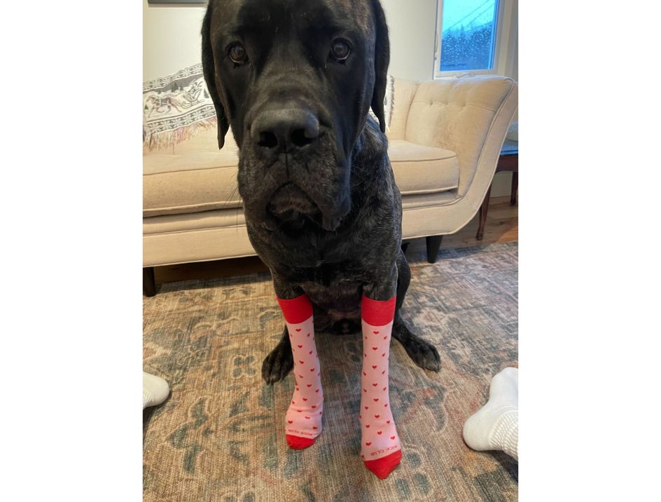Akira Arnold wearing our 2019 February subscription socks