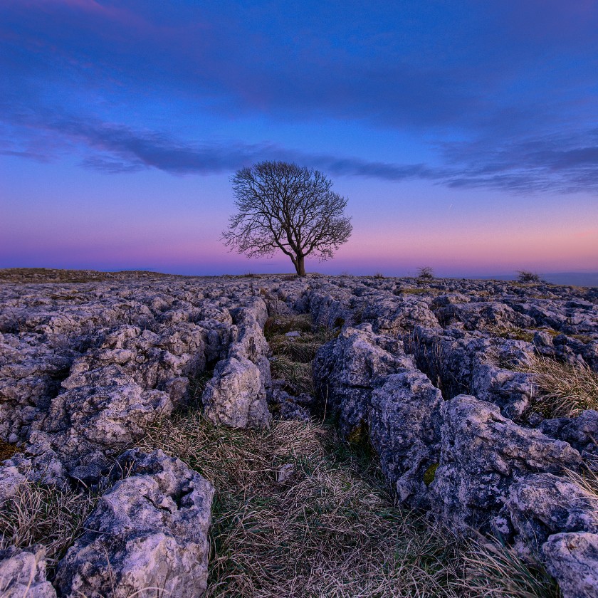 Article thumbnail for 10 of the Best Walking & Running Trails in the Yorkshire Dales