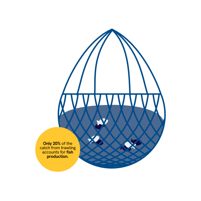 An illustration of a large fishnet for trawling.