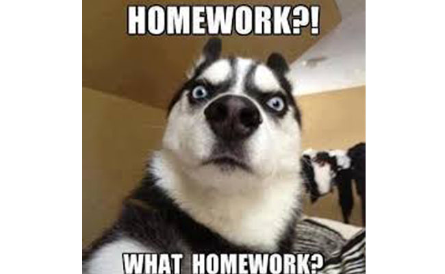 good excuses for forgetting your homework