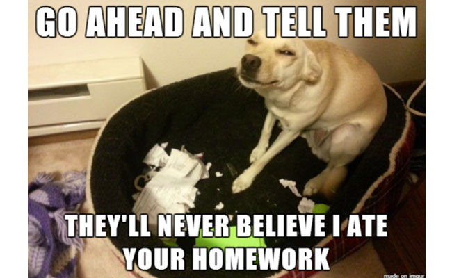 100 best excuses for not doing homework