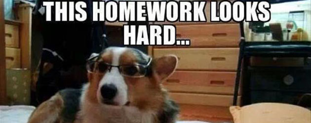 The 10 Best Homework Excuses - Bright Hub Education The 10 Best Homework Excuses - Bright Hub Education