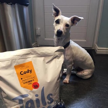 Kim & Cody the JRT from Cheshire