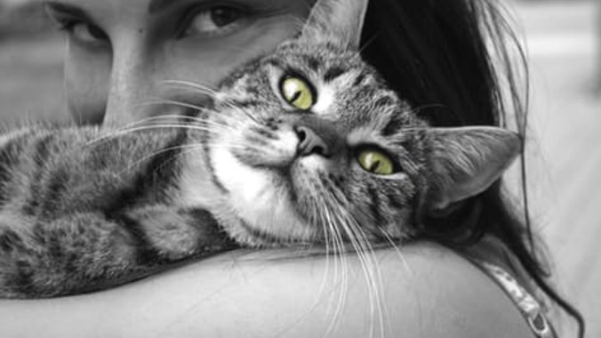 487ec22381a14424f155471e580191de8334796f cat hug