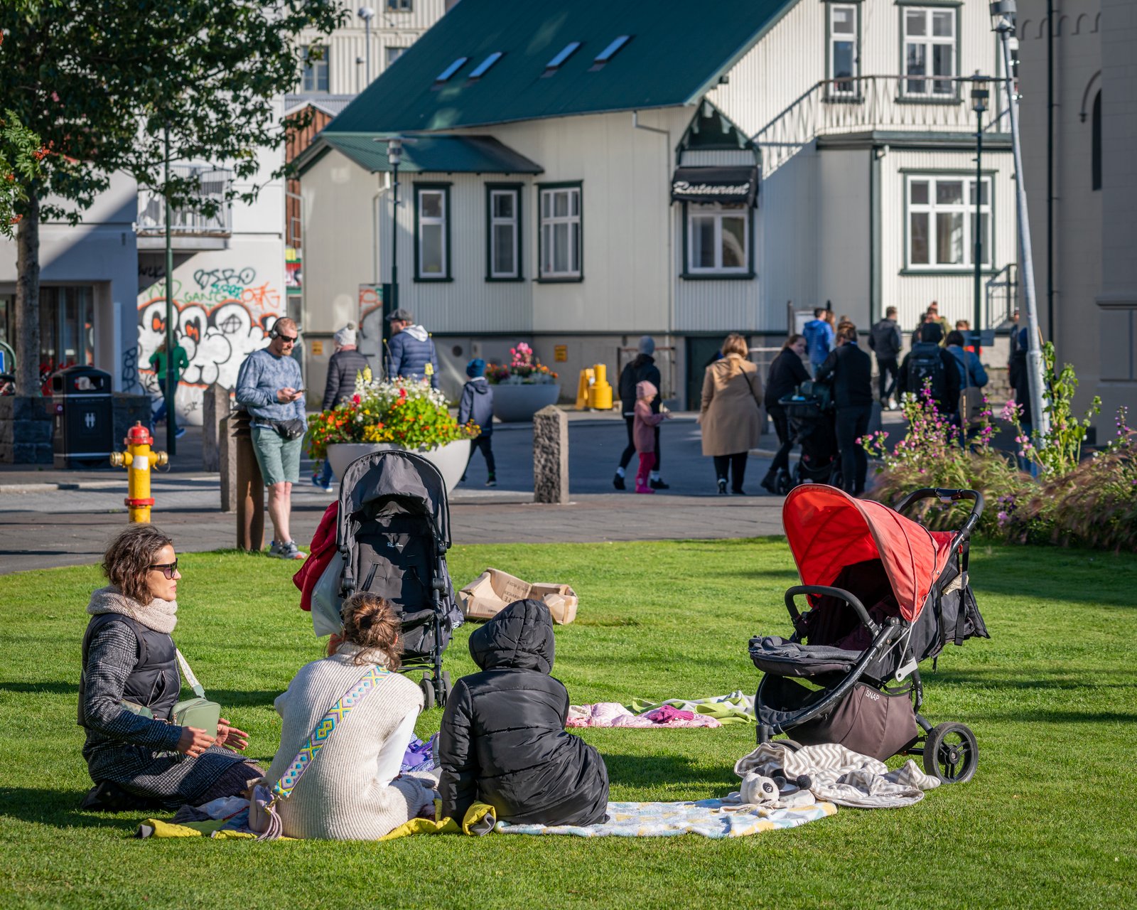 A group of people sitting and chatting on a meadow in downtown Reykjavik