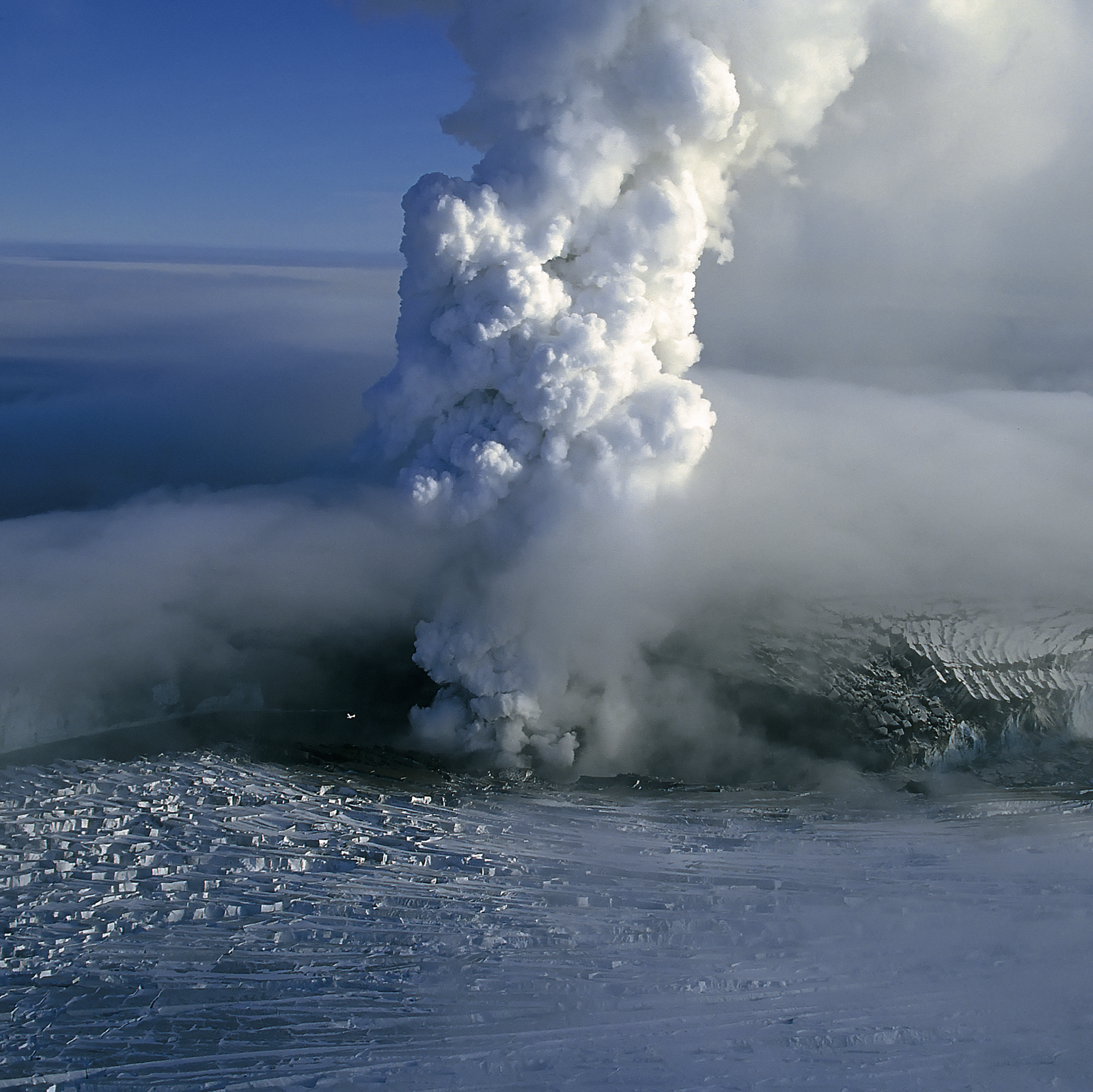 Gas plume rising from a crater surrounded by glacier ice