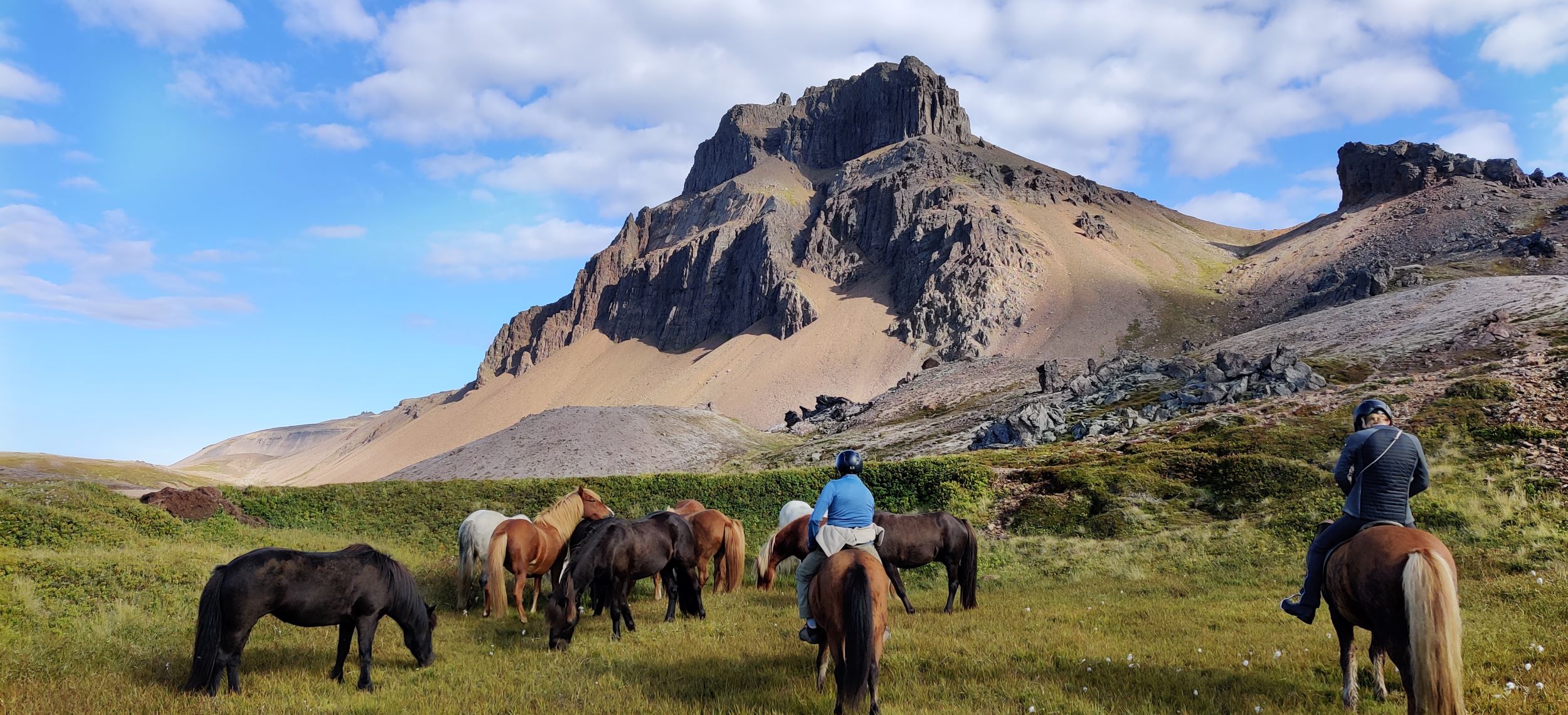 A group of riders and horses take a break on a green meadow.  In the backdrop a high mountain peak.