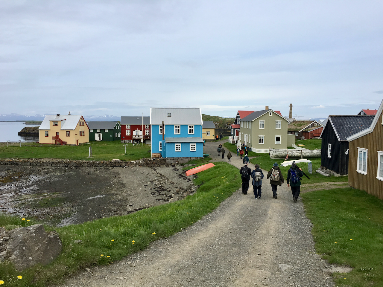 People walking among colorful old houses on Flatey island
