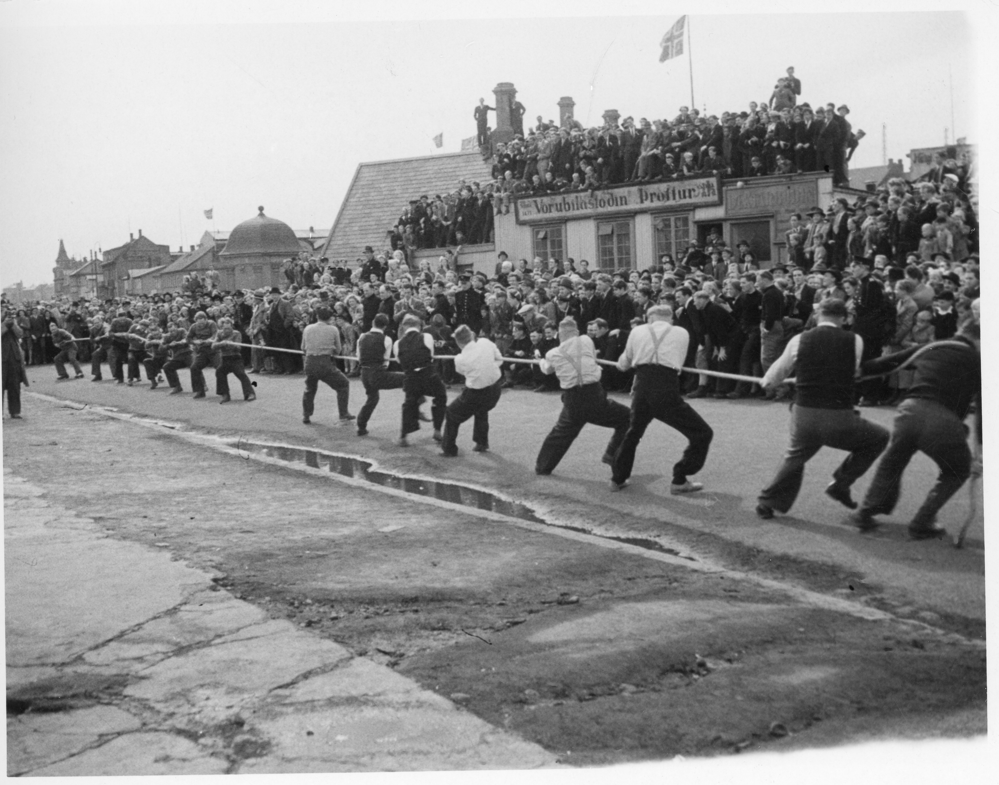 Men competing in tug war on Fisherman's Day in Reykjavík, the streets are lined with people watching them.