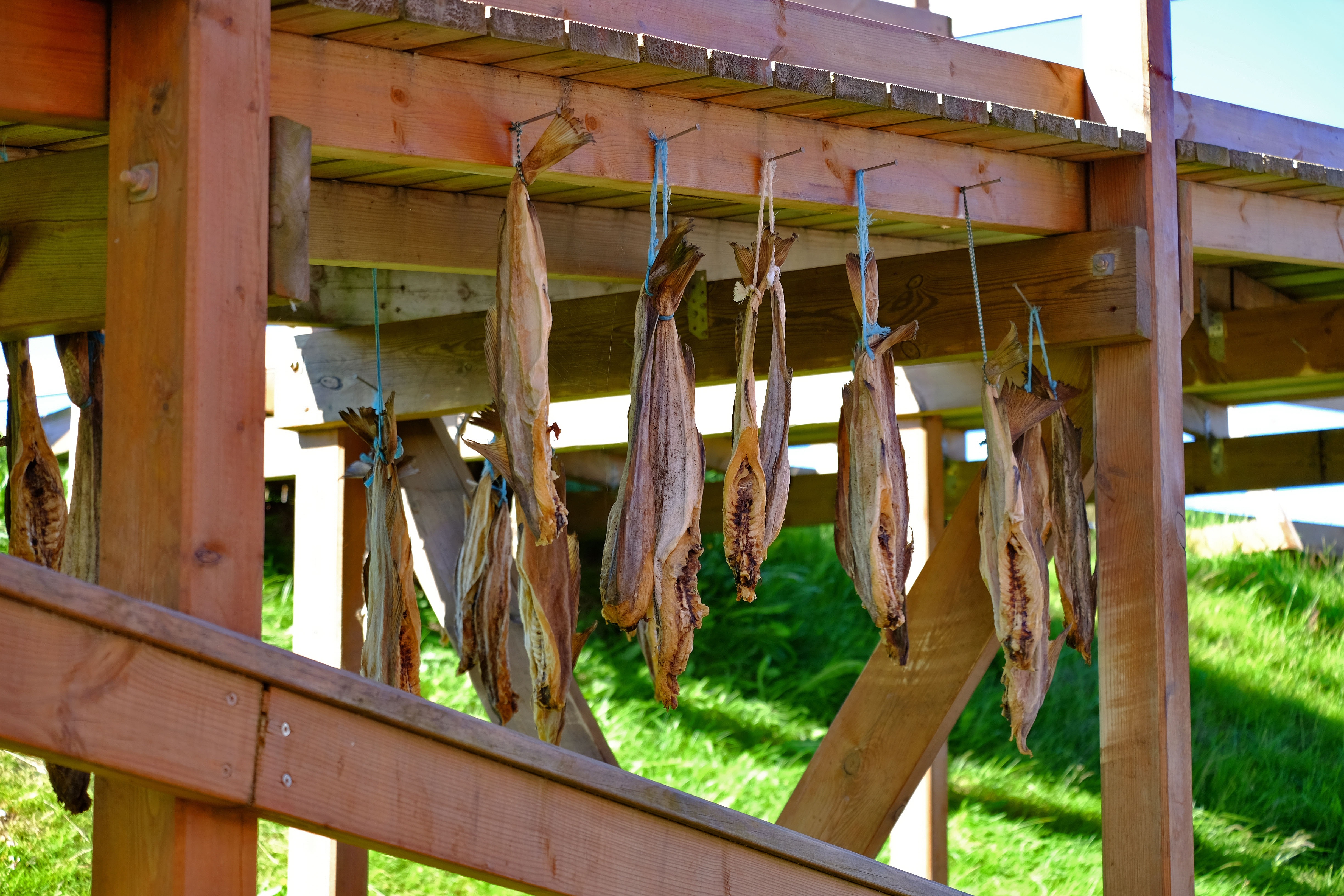 Dried fish