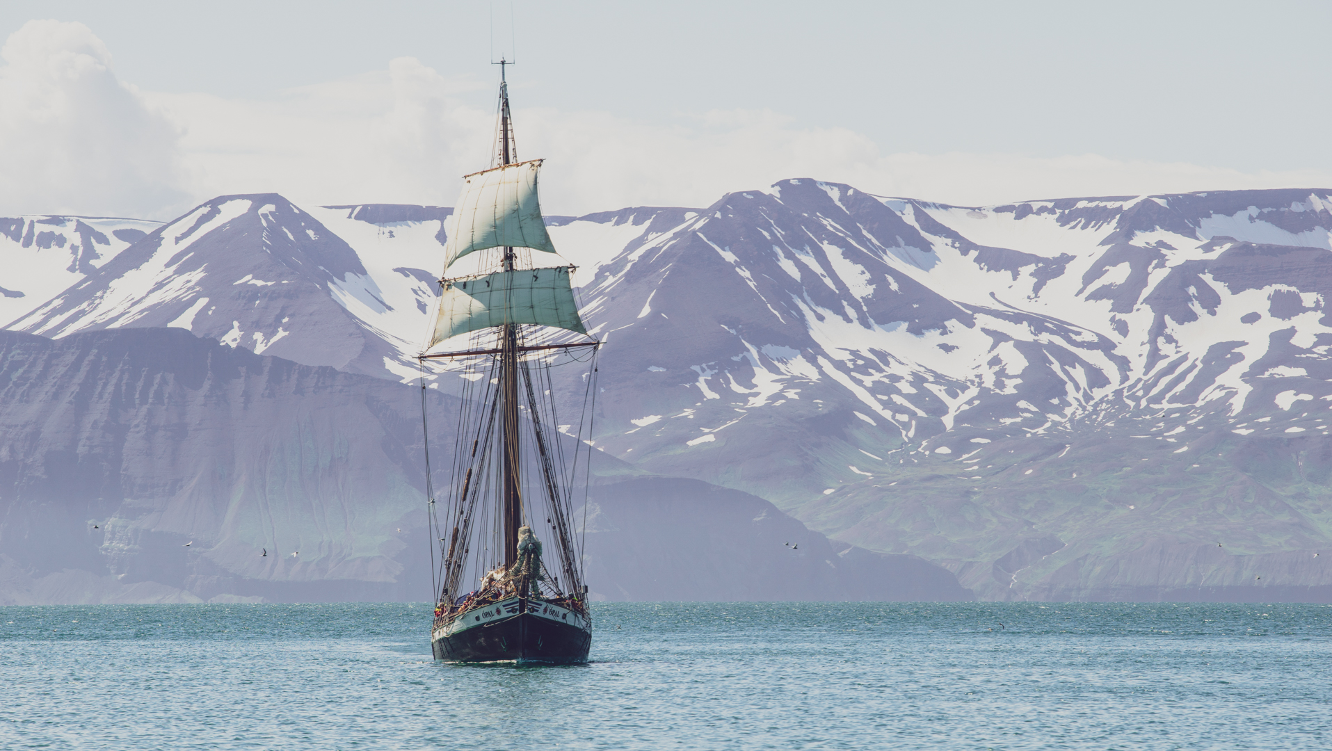 A sail boat sailing on a sunny day in the waters at Húsavík, mountains in the background