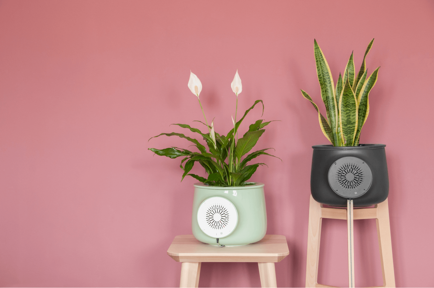 How does natural air purifier work vitesy faq