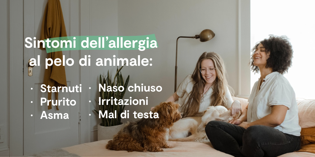 sintomi allergia pelo animale